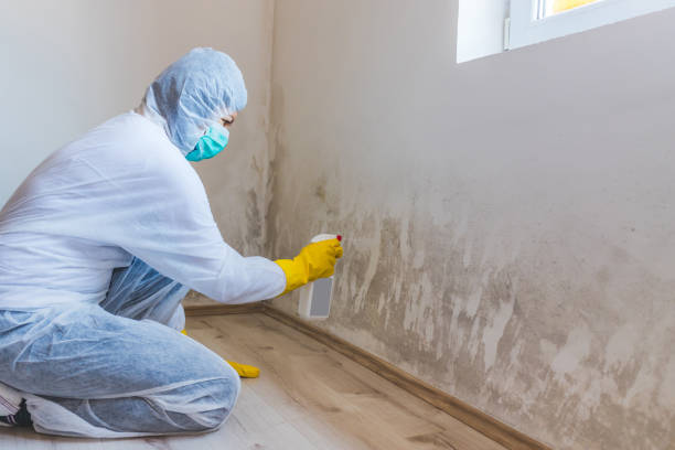 Black mold inspection in Perth Amboy