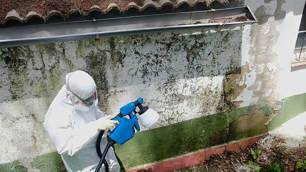 Mold Remediation service in Perth Amboy, Perth Amboy, NJ